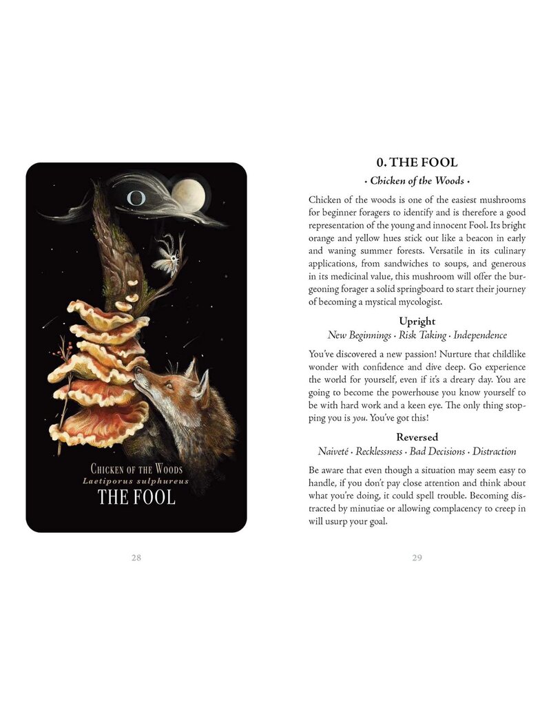Midnight Magic: A Tarot Deck of Mushrooms