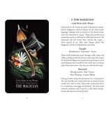 Midnight Magic: A Tarot Deck of Mushrooms