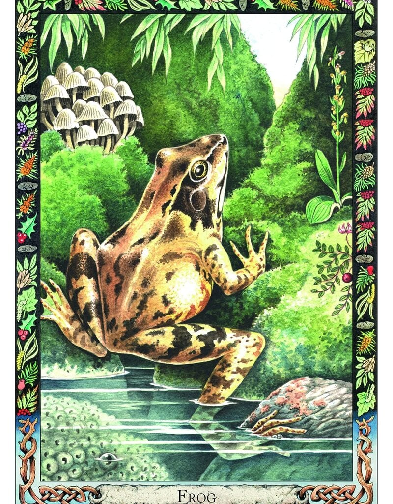 Druid Animal Oracle Deck
