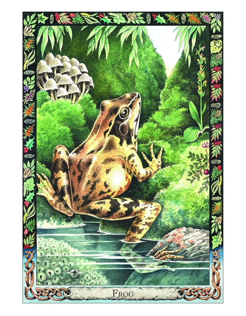 Druid Animal Oracle Deck