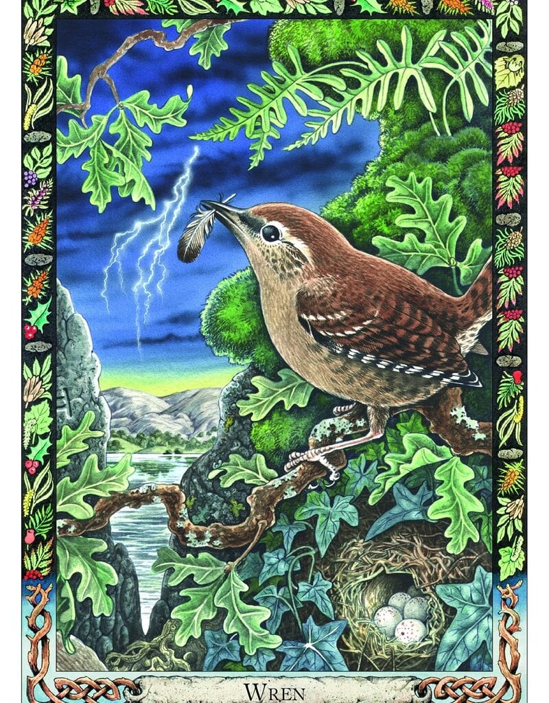Druid Animal Oracle Deck