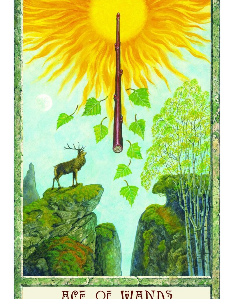 Druid Craft Tarot Deck