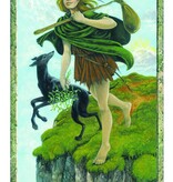 Druid Craft Tarot Deck