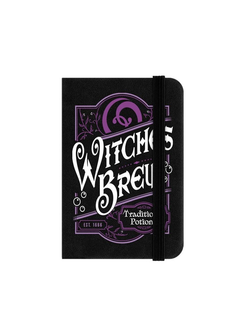 Witches Brew Mini Notebook