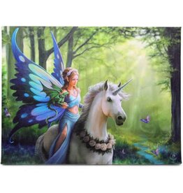 Realm of Enchantment Mounted Canvas