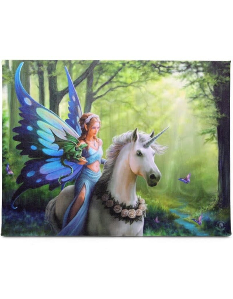 Realm of Enchantment Mounted Canvas