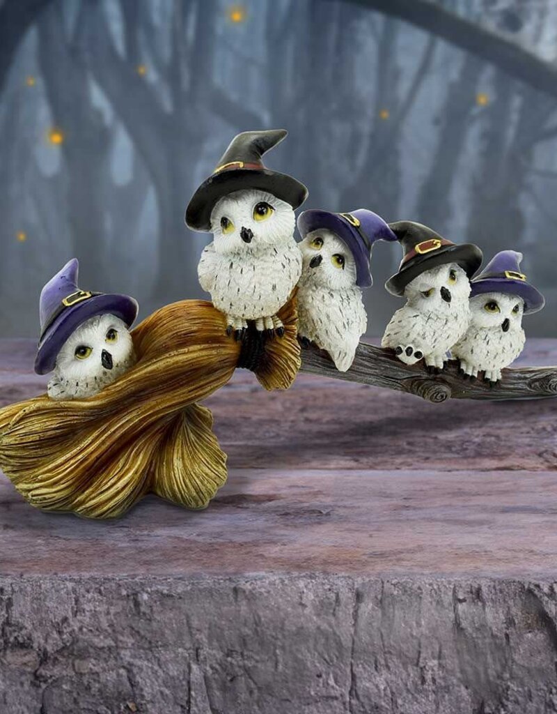 Feathered Broomstick 26cm (K5*)