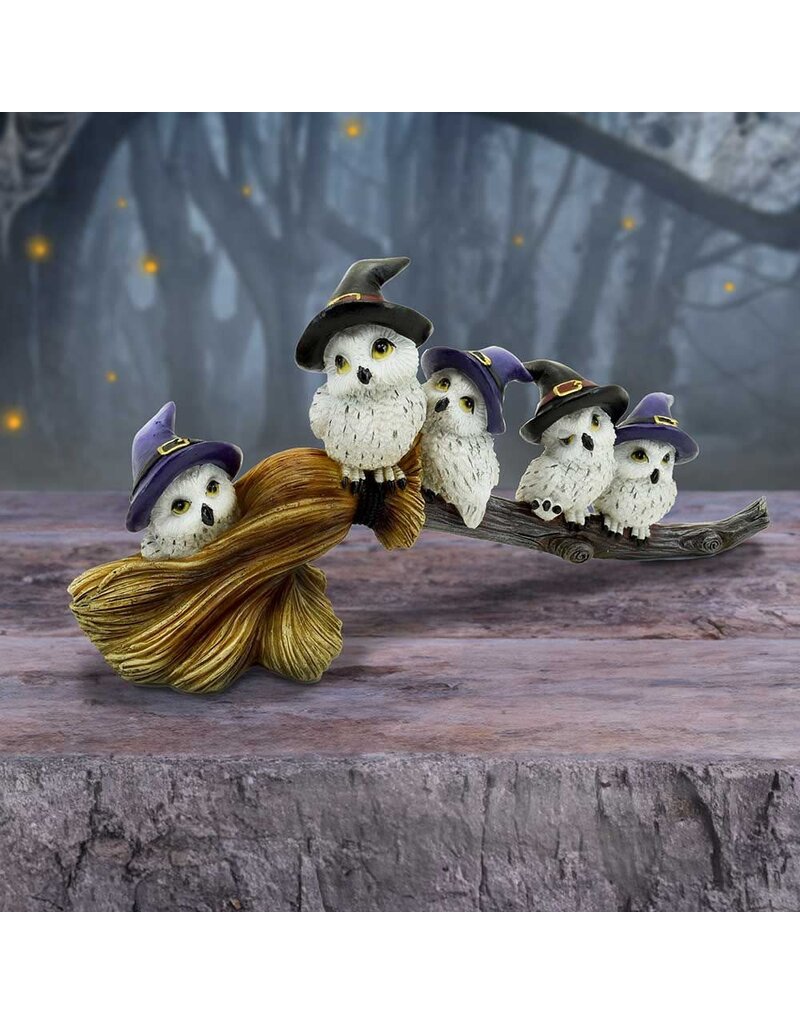 Feathered Broomstick 26cm (K5*)