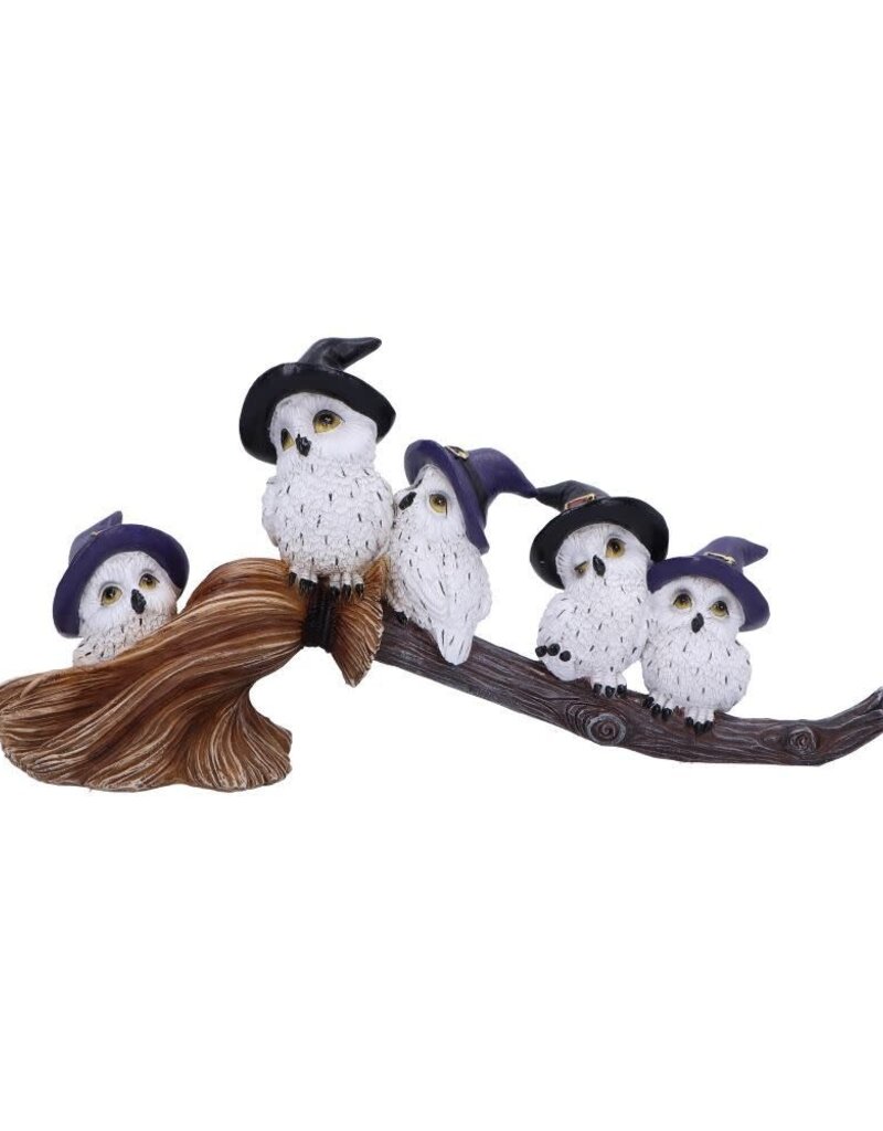 Feathered Broomstick 26cm (K5*)