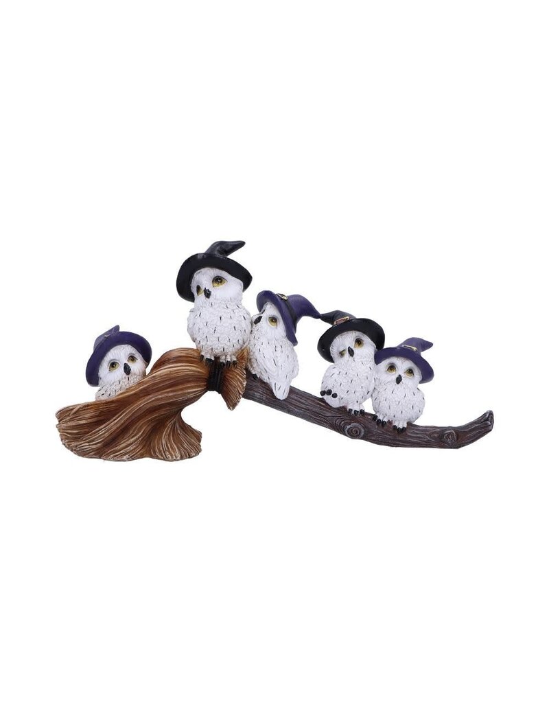 Feathered Broomstick 26cm (K5*)