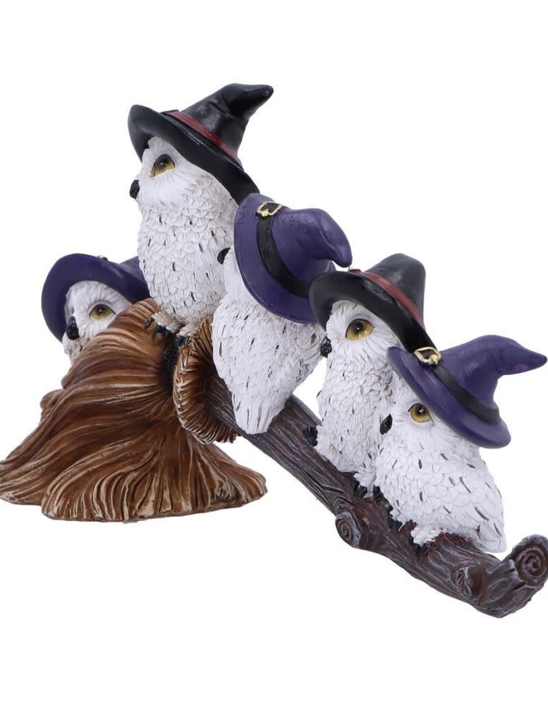 Feathered Broomstick 26cm (K5*)