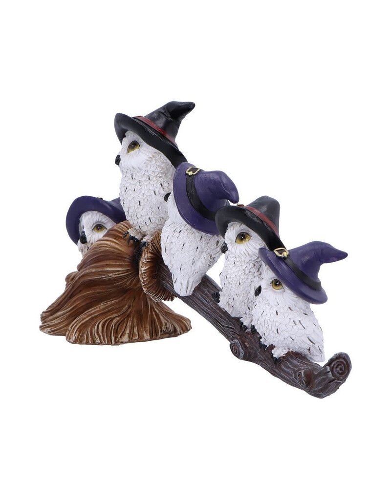Feathered Broomstick 26cm (K5*)