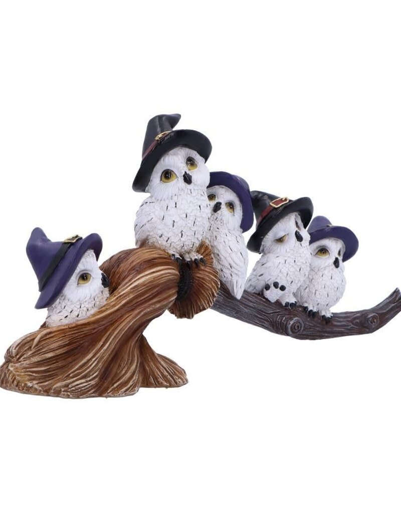 Feathered Broomstick 26cm (K5*)