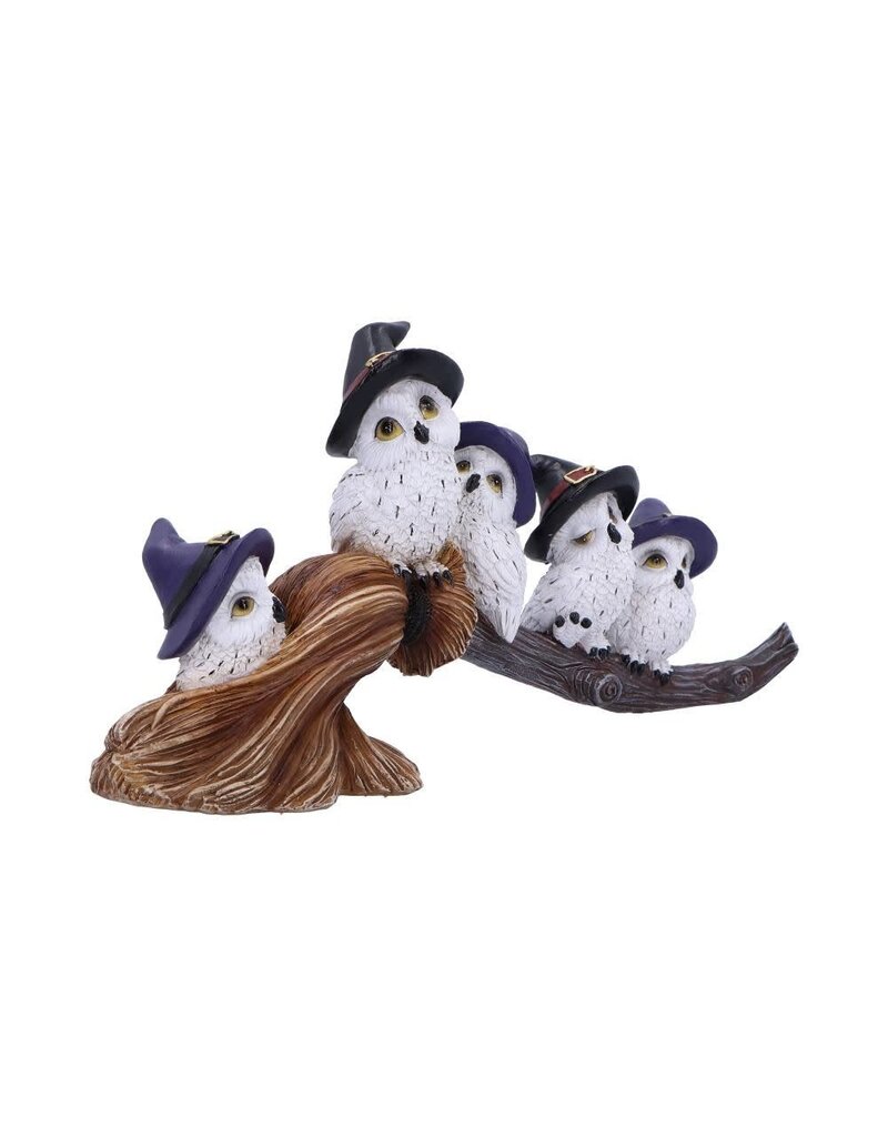 Feathered Broomstick 26cm (K5*)