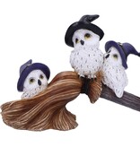 Feathered Broomstick 26cm (K5*)