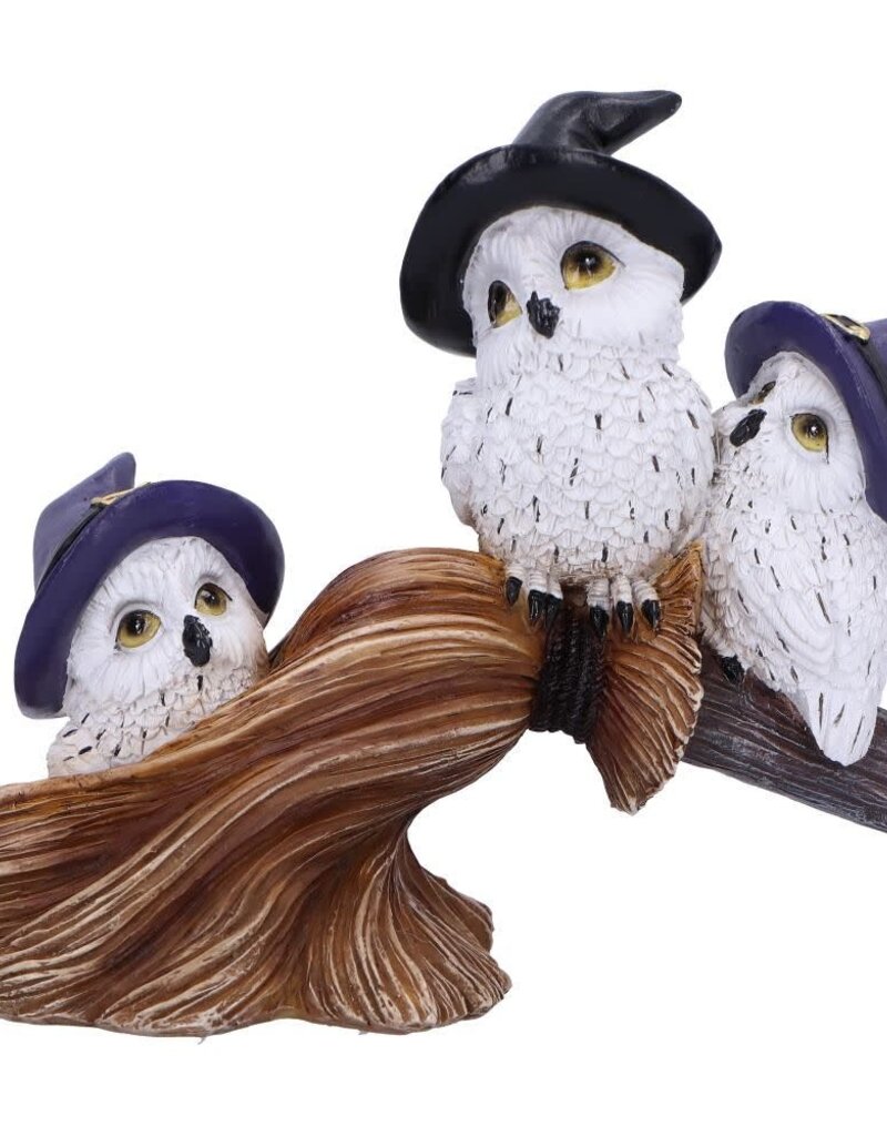Feathered Broomstick 26cm (K5*)