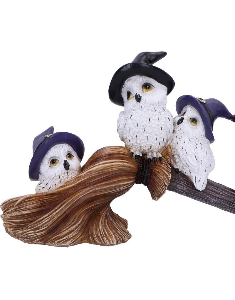 Feathered Broomstick 26cm (K5*)