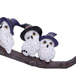 Feathered Broomstick 26cm (K5*)