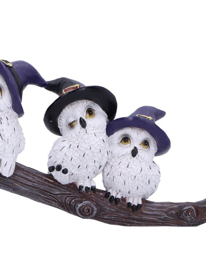 Feathered Broomstick 26cm (K5*)