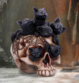 Nemesis Now Cranial Litter 14cm (F3)