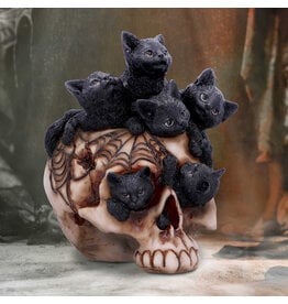 Nemesis Now Cranial Litter 14cm (F3)