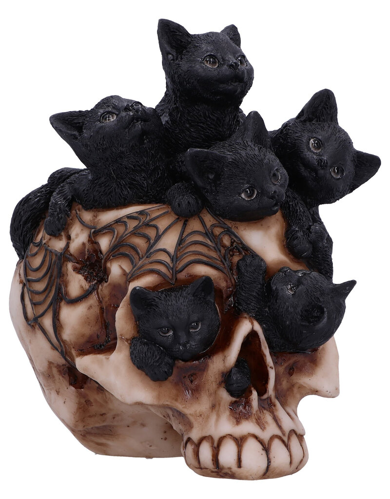 Nemesis Now Cranial Litter 14cm (F3)