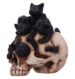 Nemesis Now Cranial Litter 14cm (F3)