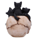 Nemesis Now Cranial Litter 14cm (F3)