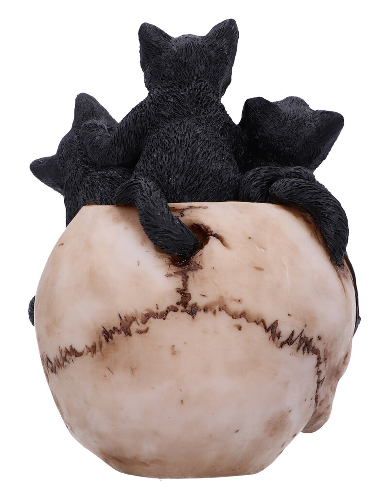 Nemesis Now Cranial Litter 14cm (F3)