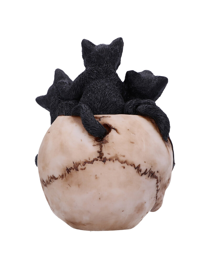 Nemesis Now Cranial Litter 14cm (F3)