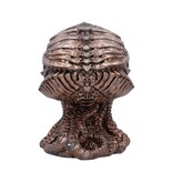 Cthulhu Skull Bronze  (JR) 20cm ( K5*)