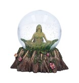 Balance of Nature Snow Globe 13.2cm (A1*)