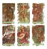 The Sherwood Oracle: Hidden Lore of the Wild Forest
