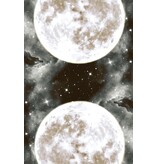 Moon Temple Oracle: Your Personal Portal to the Cosmos