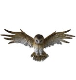Nemesis Now Wisdom Flight 54.5cm (A1*)