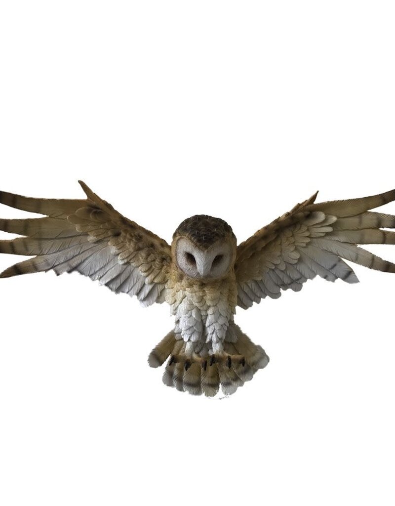 Nemesis Now Wisdom Flight 54.5cm (A1*)