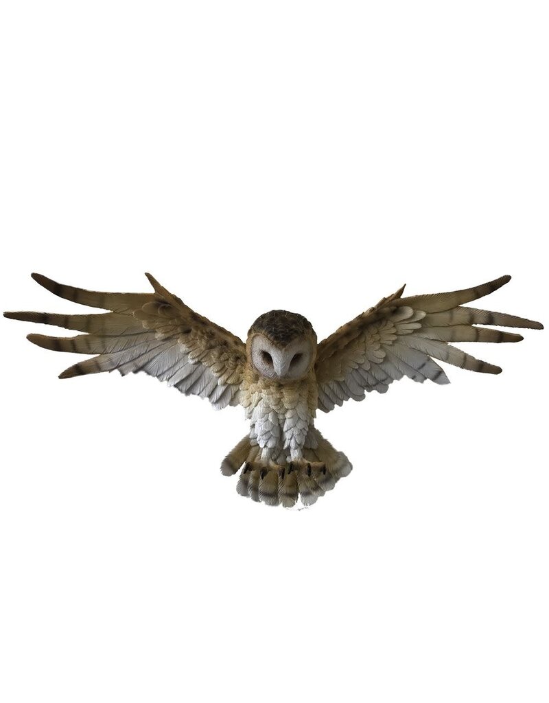 Nemesis Now Wisdom Flight 54.5cm (A1*)