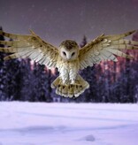 Nemesis Now Wisdom Flight 54.5cm (A1*)