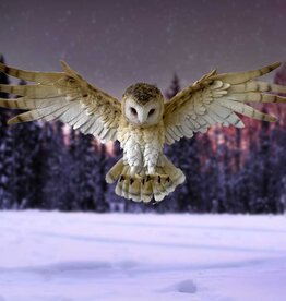 Nemesis Now Wisdom Flight 54.5cm (A1*)