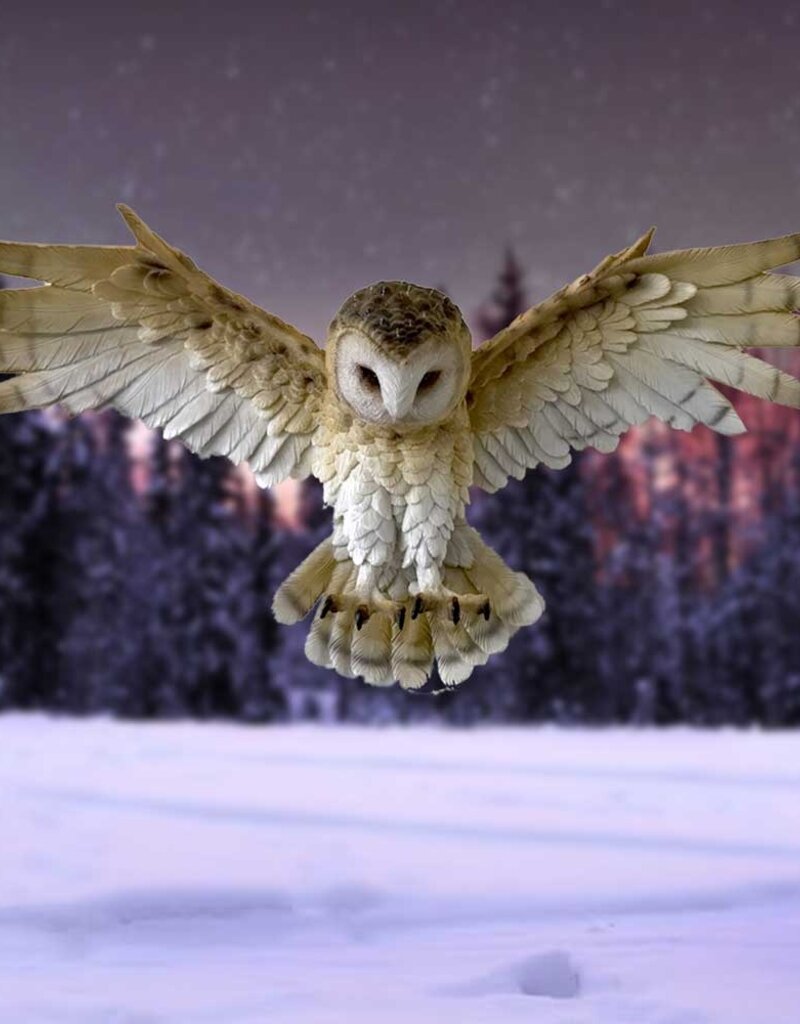 Nemesis Now Wisdom Flight 54.5cm (A1*)