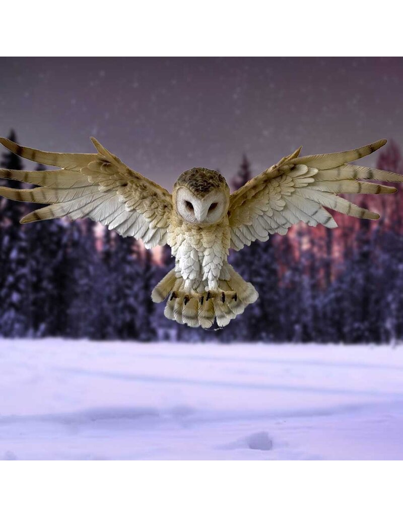 Nemesis Now Wisdom Flight 54.5cm (A1*)