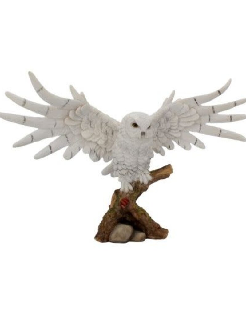 Nemesis Now Snowy Rest 38 cm  (F1*)