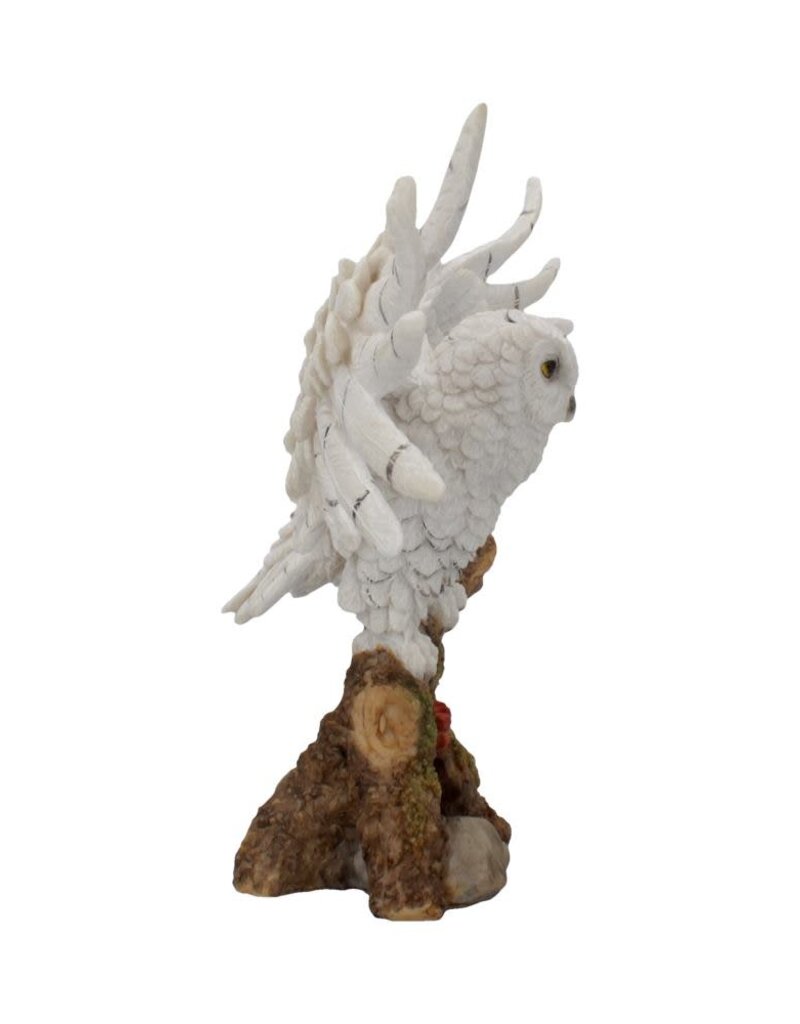 Nemesis Now Snowy Rest 38 cm  (F1*)