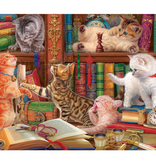Library Kittens - 1000 Piece Puzzle