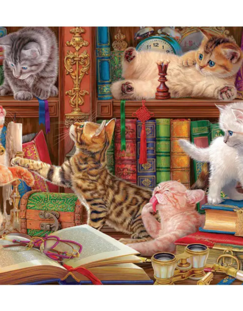 Library Kittens - 1000 Piece Puzzle