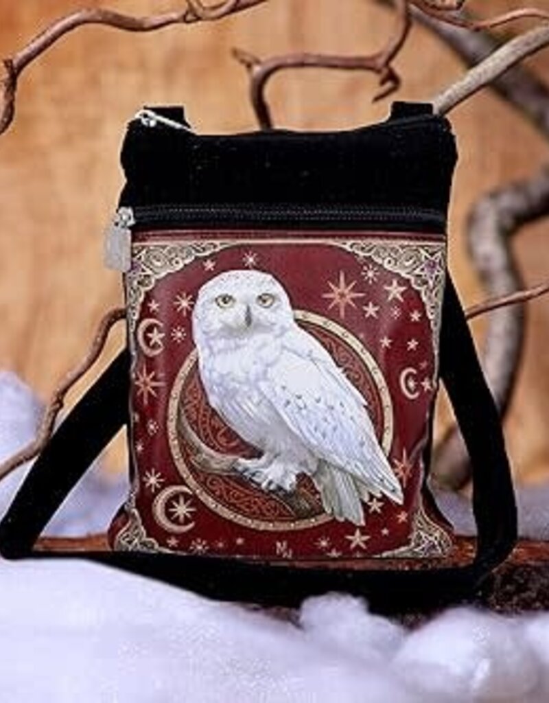Magical Flight Shoulder Bag 23cm