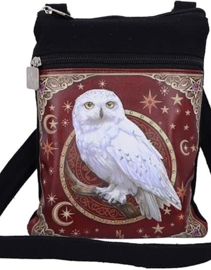 Magical Flight Shoulder Bag 23cm