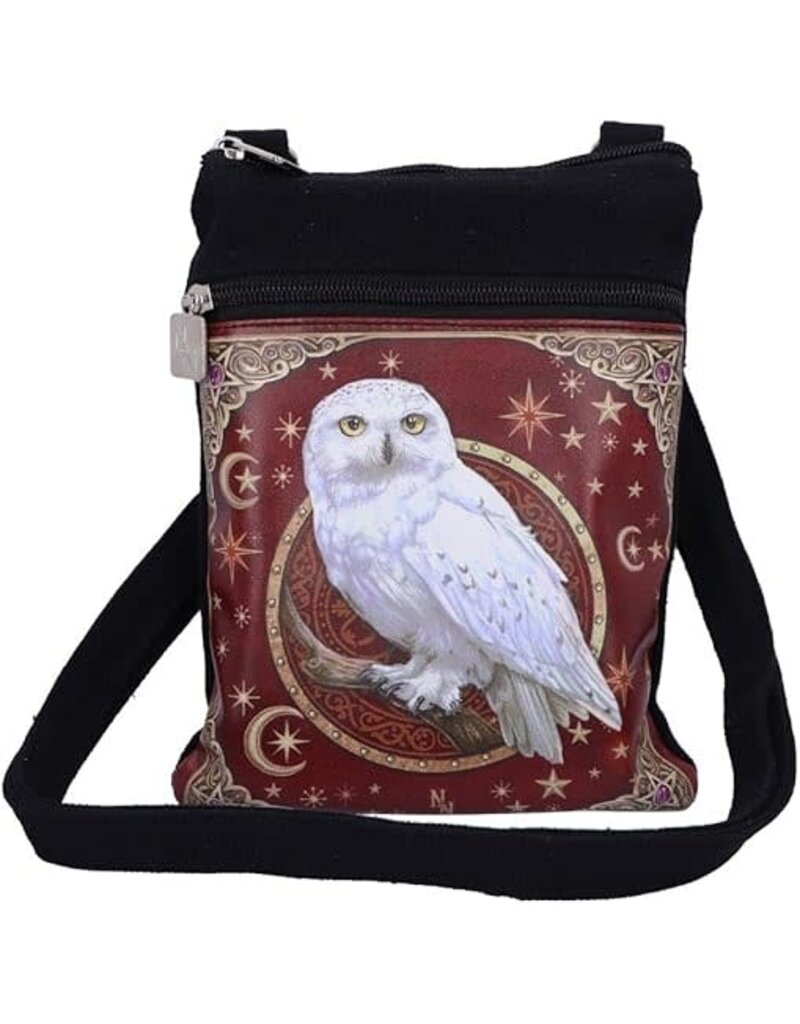Magical Flight Shoulder Bag 23cm