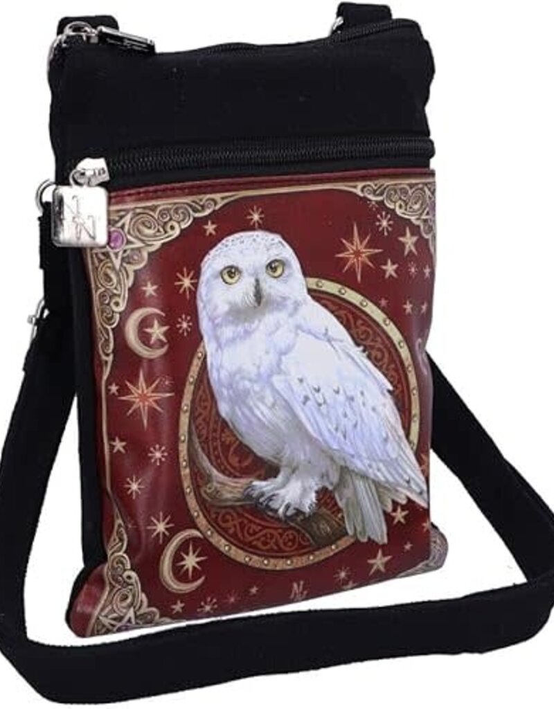 Magical Flight Shoulder Bag 23cm