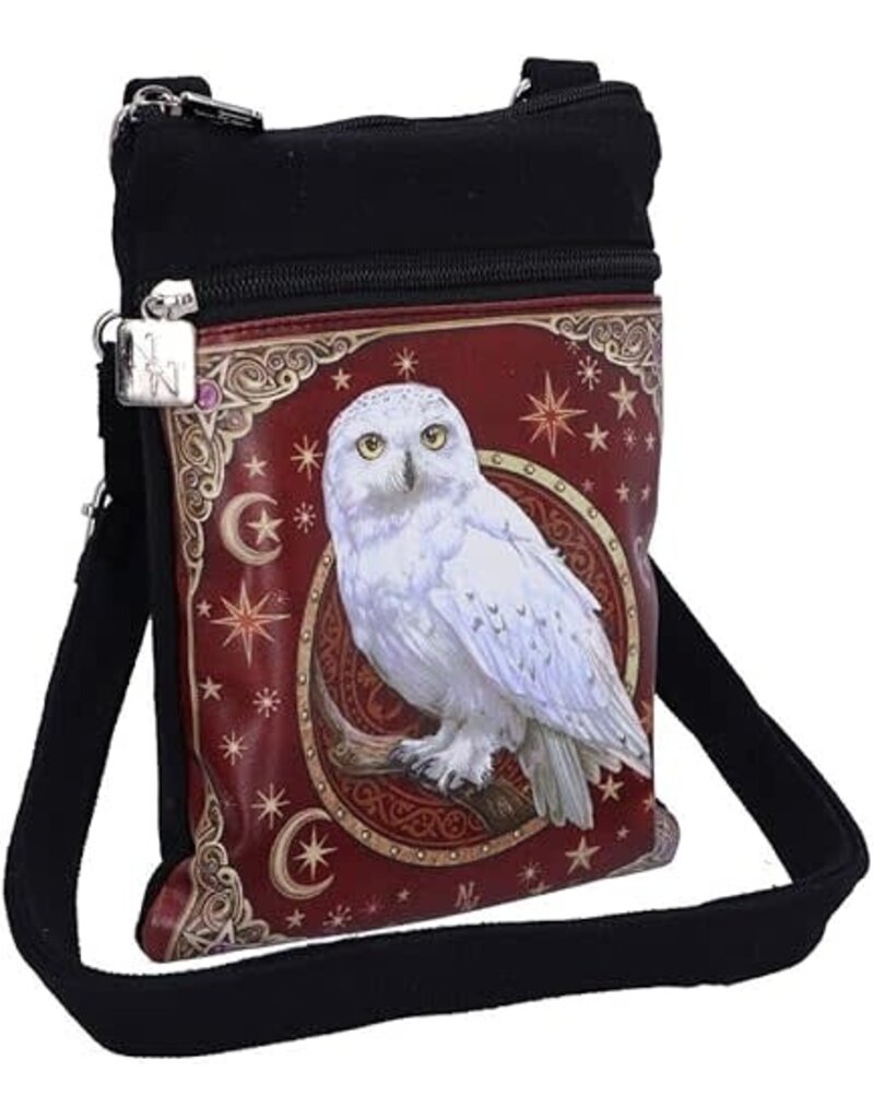 Magical Flight Shoulder Bag 23cm